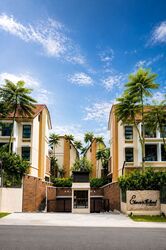 Holland Link (D10), Terrace #554685041